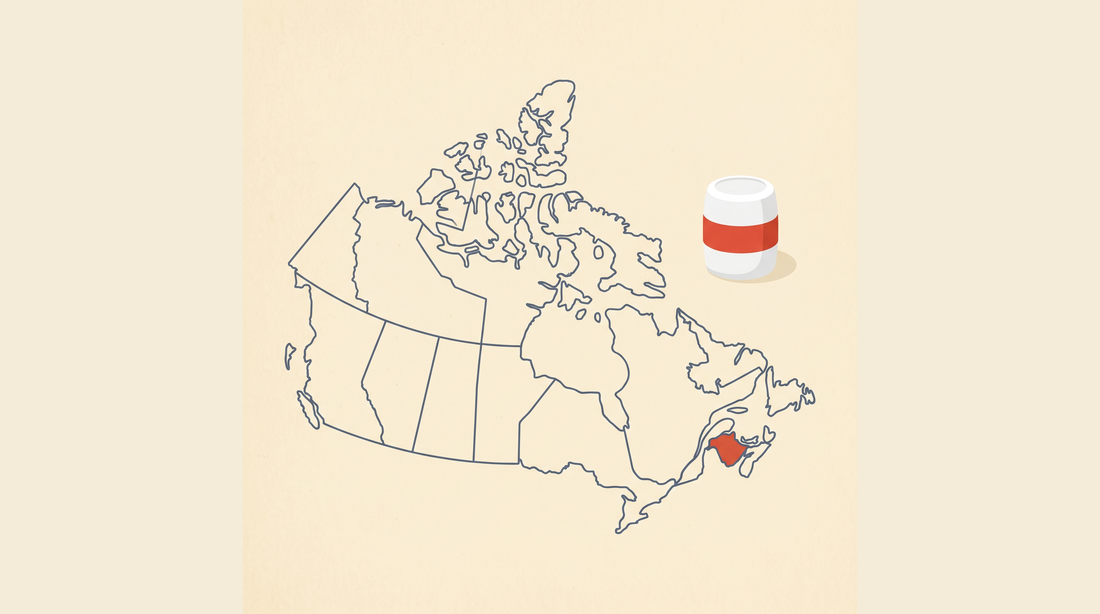 Flat-vector map of Canada with New Brunswick highlighted in coral on a cream background, next to a radon detector canister